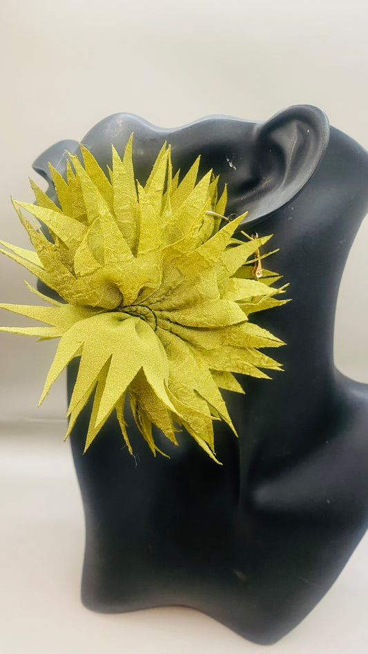 New Arrival !!! Sea Moss