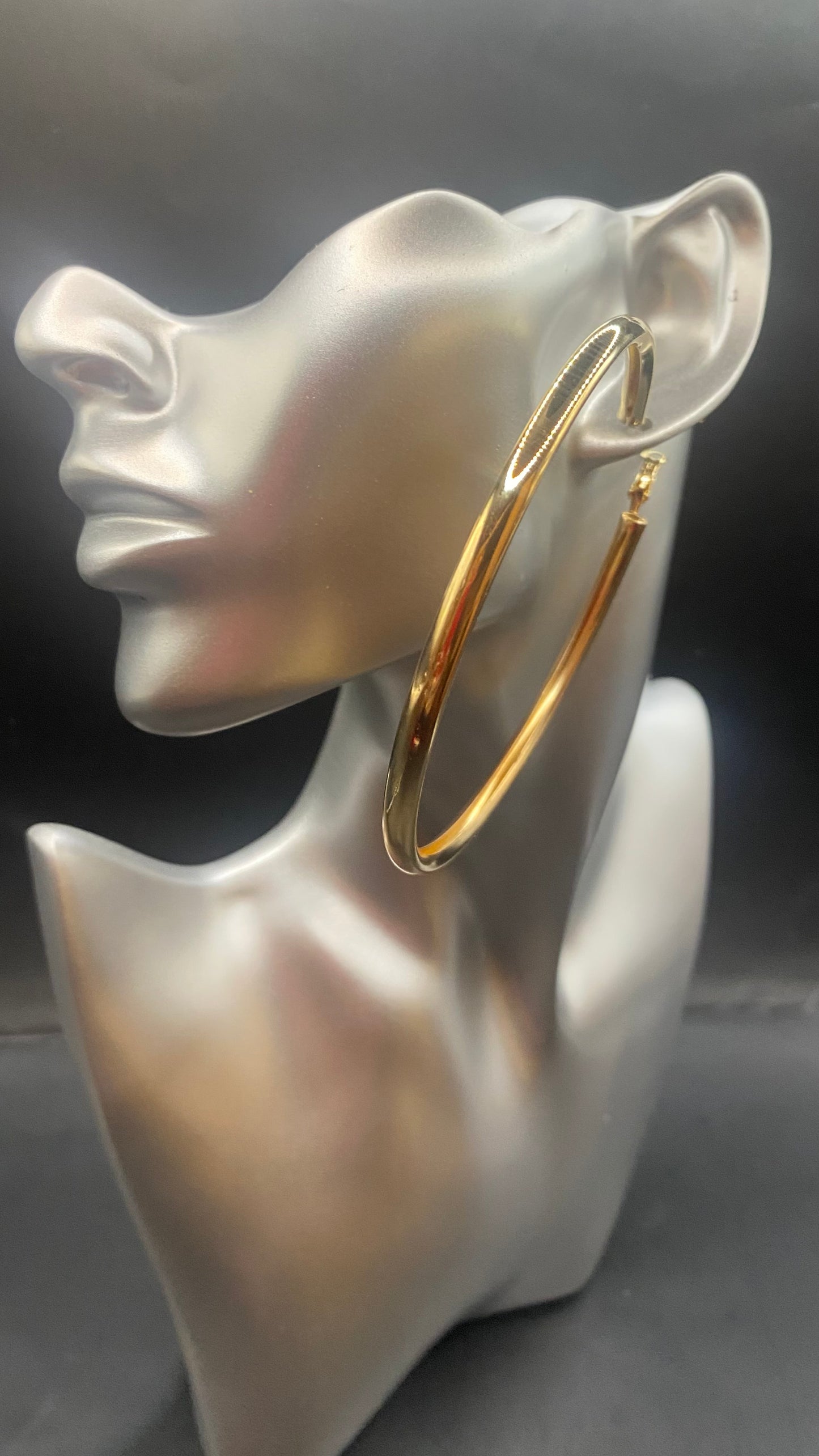 THE LARGER HOOP