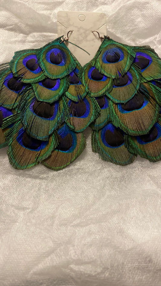 NEW ARRIVAL !!!!! PEACOCK BEAUTY